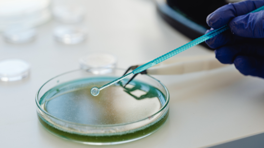 water testing